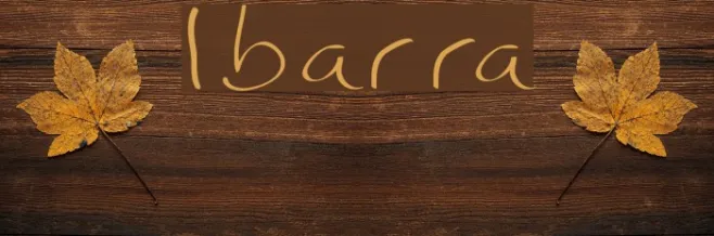 Ibarra Example 1