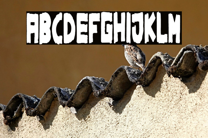 Iberian Rugby Team Example 1