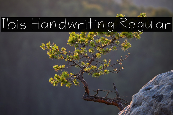 Ibis Handwriting Regular Example 1