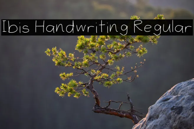 Ibis Handwriting Regular Example 1
