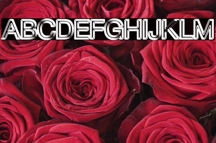 Ibiza Crystal Personal Use Regular Example 1