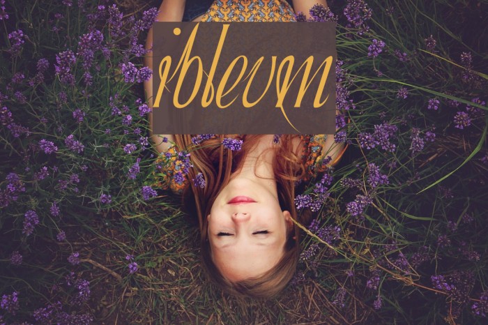 Ibleum Font examples