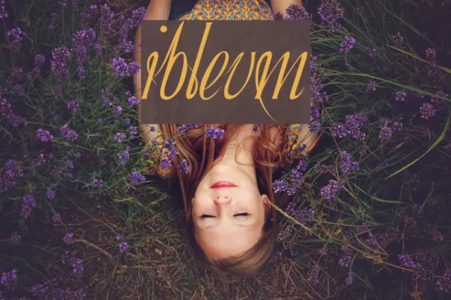 Ibleum Example 1