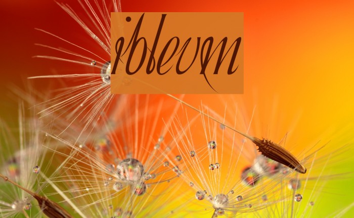Ibleum Font examples