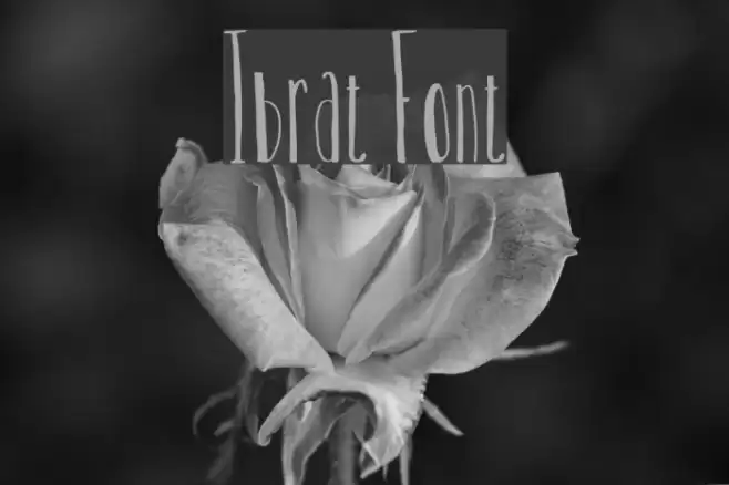 Ibrat Font examples