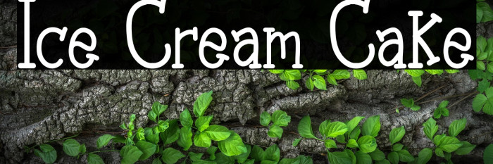 Ice Cream Cake Example 2