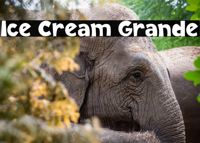 Ice Cream Grande Example 2