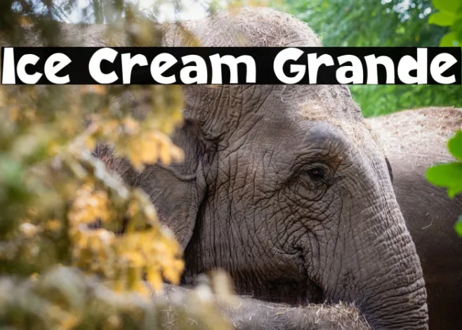 Ice Cream Grande Example 2
