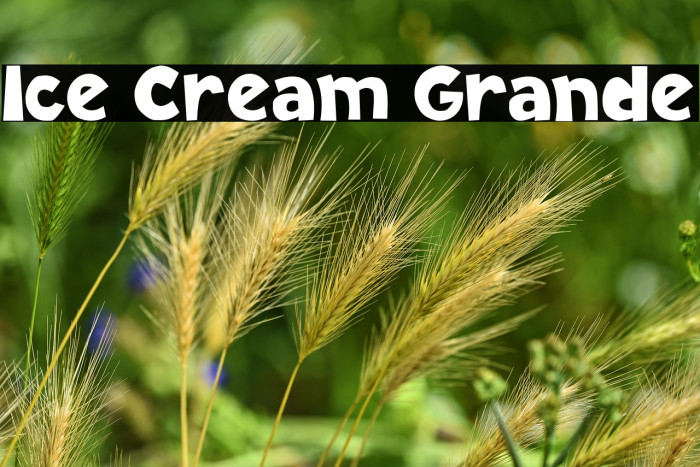 Ice Cream Grande Example 3