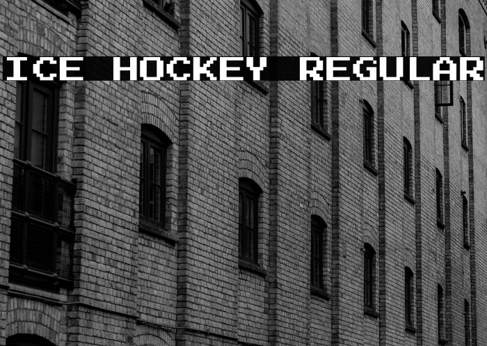 Ice Hockey Regular Example 2