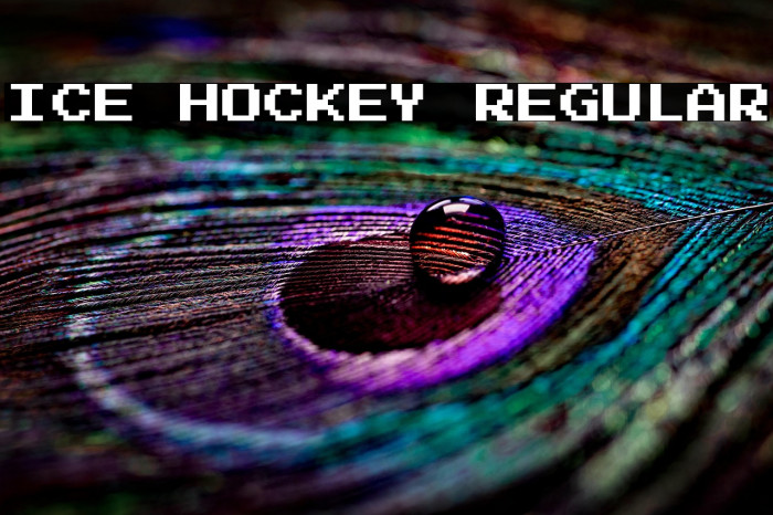 Ice Hockey Regular Example 3