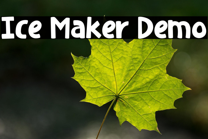 Ice Maker Demo Example 1