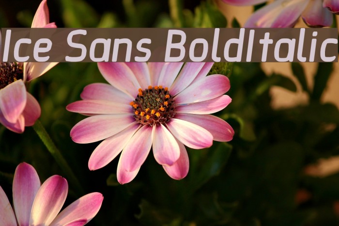 Ice Sans BoldItalic Font examples