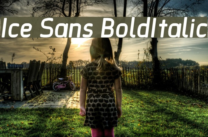 Ice Sans BoldItalic Font examples