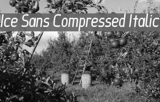 Ice Sans Compressed Italic Font examples