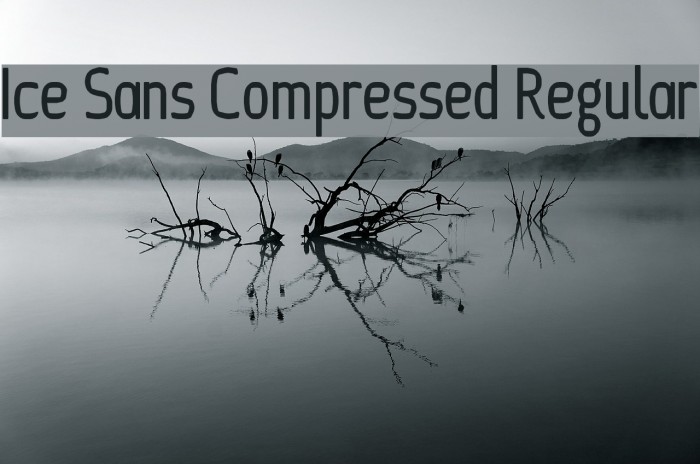 Ice Sans Compressed Regular Font examples