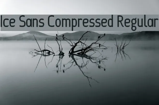 Ice Sans Compressed Regular Example 2