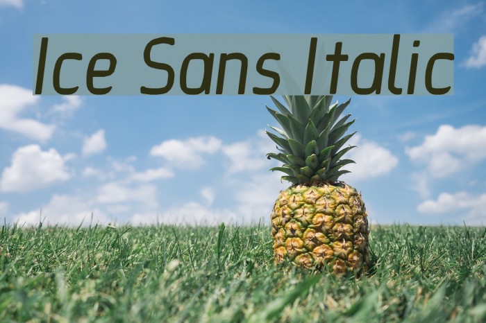 Ice Sans Italic Font examples