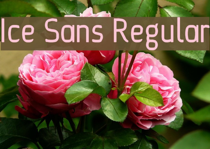 Ice Sans Regular Font examples