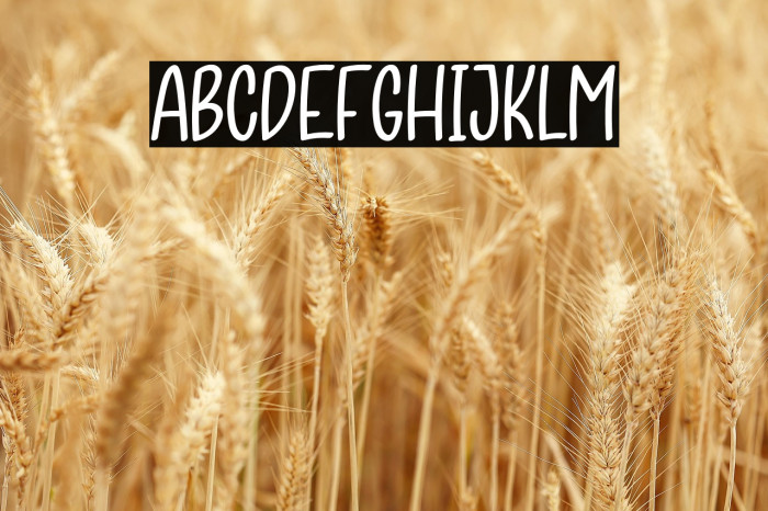 Ice Skating Example 3