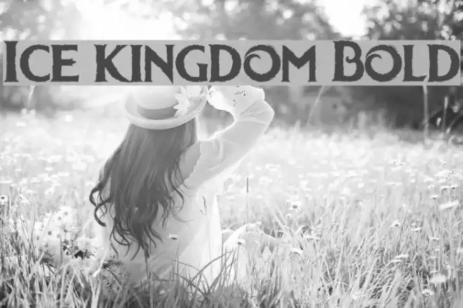 Ice kingdom Bold Font examples