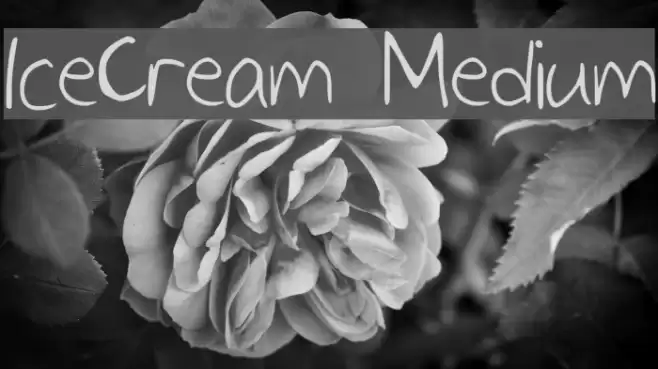 IceCream Medium Font examples