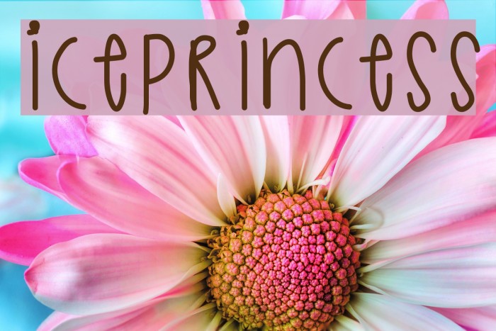 IcePrincess Font examples