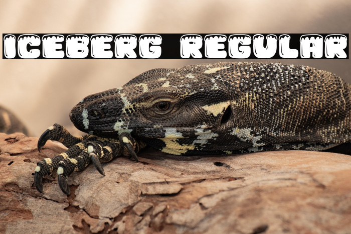 Iceberg Regular Example 2