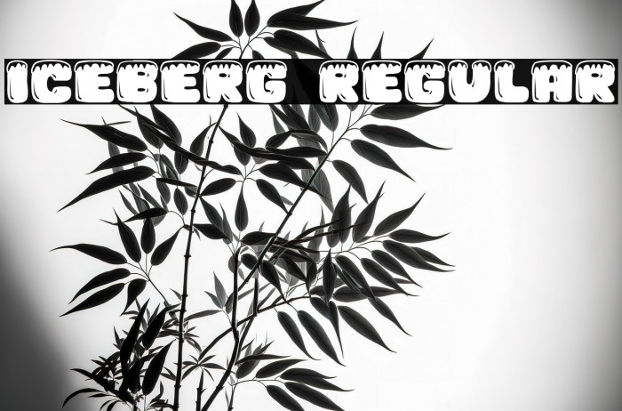 Iceberg Regular Example 3