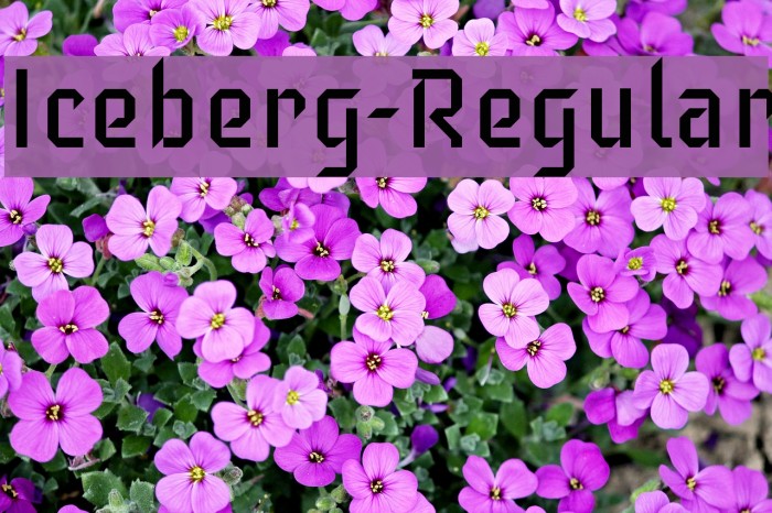 Iceberg-Regular Font examples