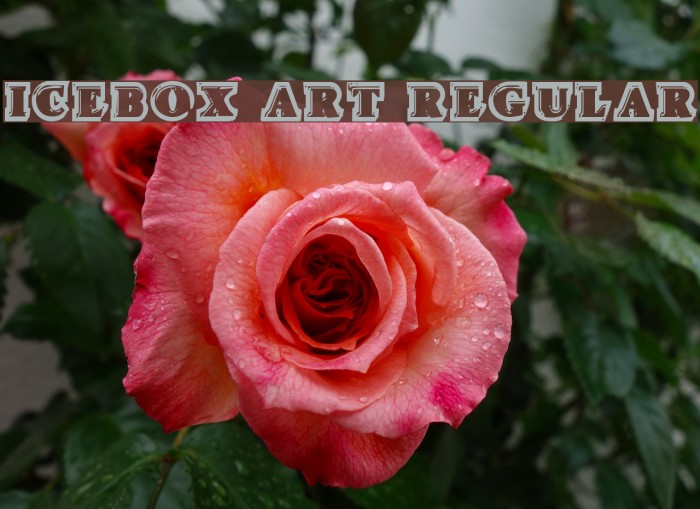 Icebox Art Regular Font examples