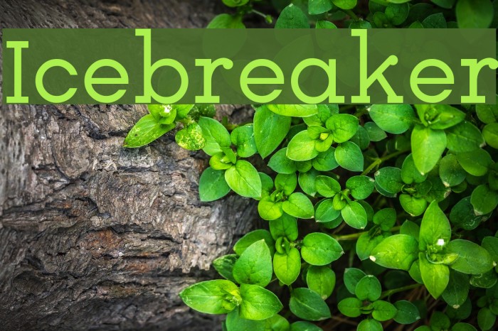 Icebreaker Font examples