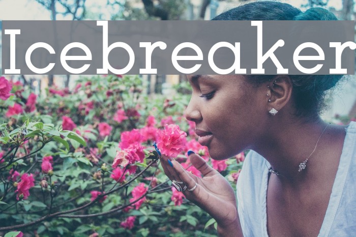 Icebreaker Font examples