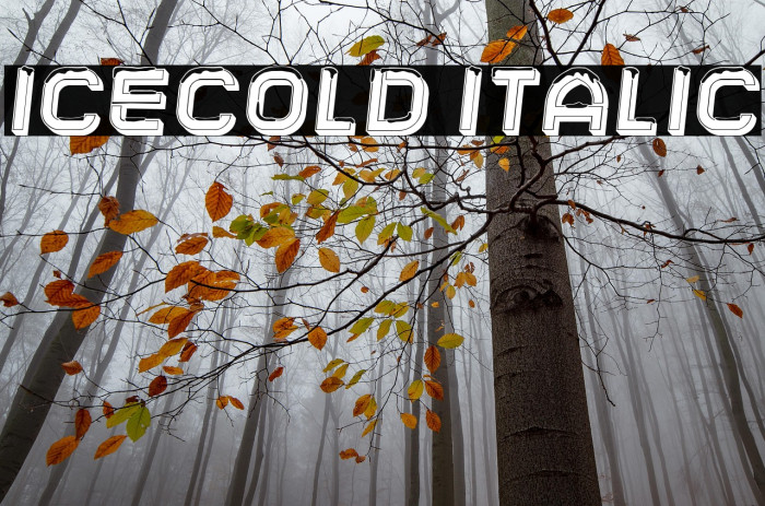 Icecold Italic Example 3