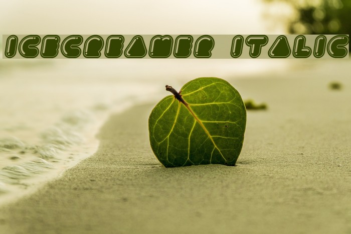 Icecreamer Italic Example 3