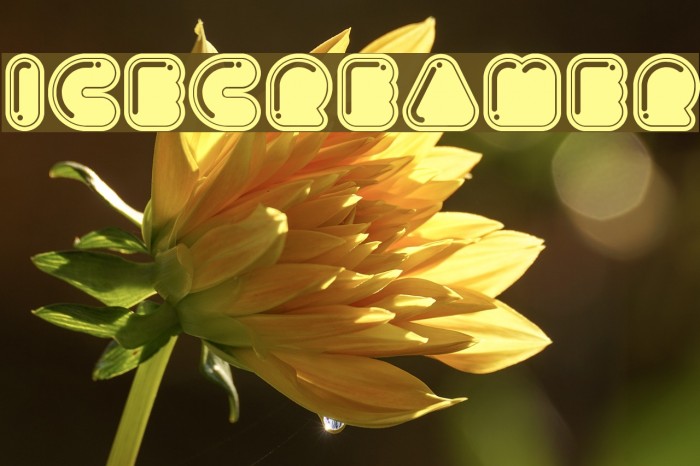 Icecreamer Font examples