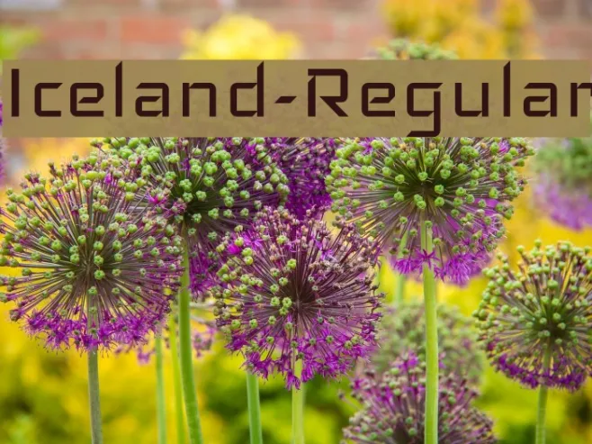Iceland-Regular Example 2