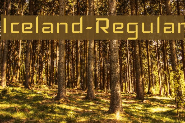 Iceland-Regular Font examples