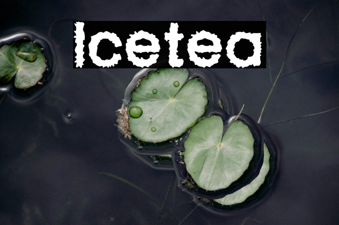 Icetea Example 1