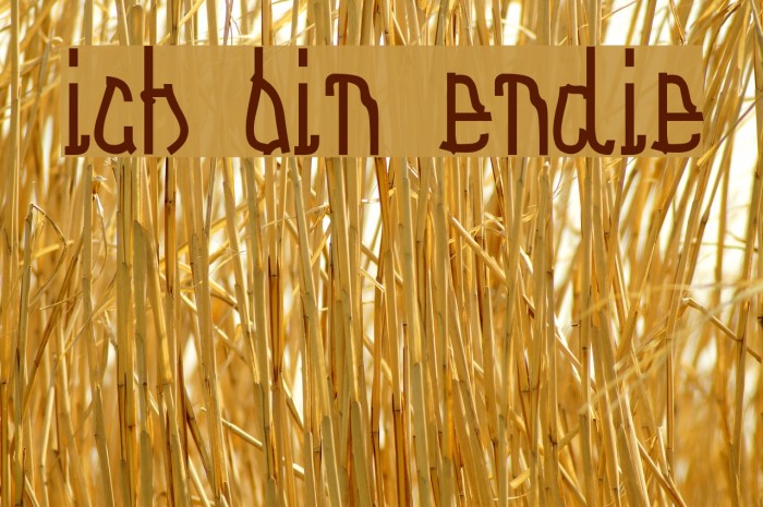 Ich bin Endie Font examples
