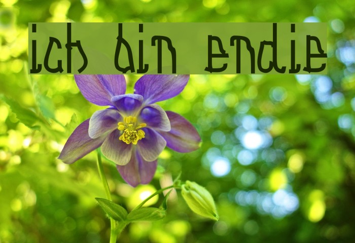 Ich bin Endie Font examples