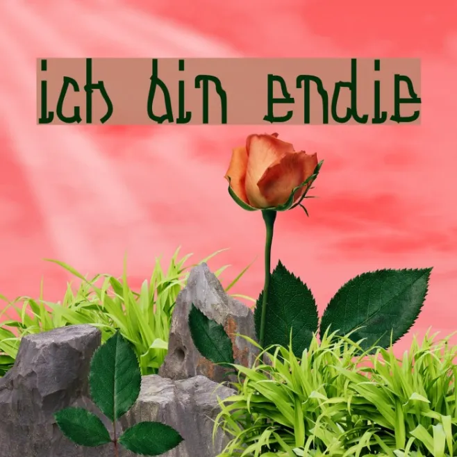 Ich bin Endie Example 3