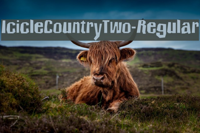 IcicleCountryTwo-Regular Example 3