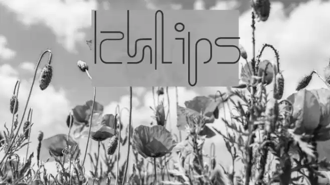 Icklips Font examples