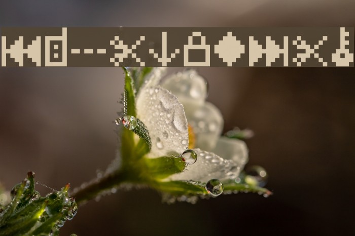 IconBitOne Font examples