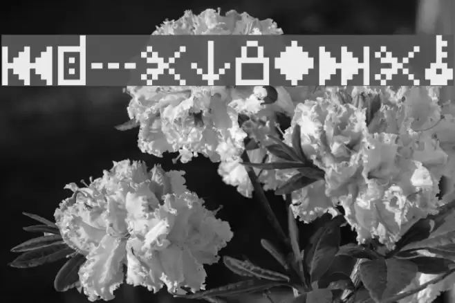 IconBitOne Fuentes examples