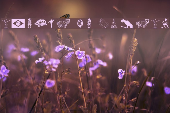 Icones do Brasil Example 2