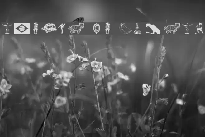 Icones do Brasil Font examples