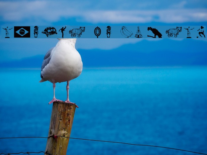 Icones do Brasil Example 3