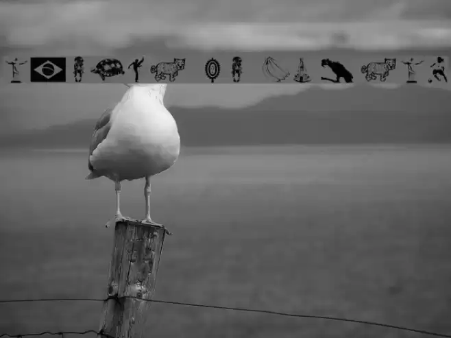 Icones do Brasil Font examples